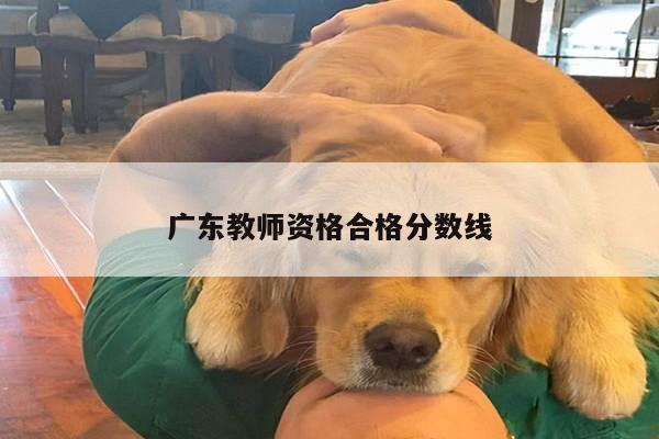 广东教师资格合格分数线
