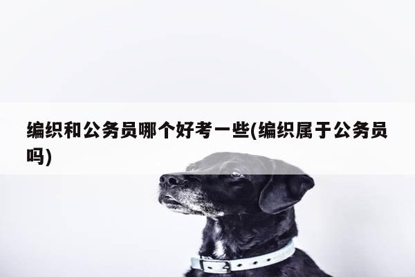 编织和公务员哪个好考一些(编织属于公务员吗)