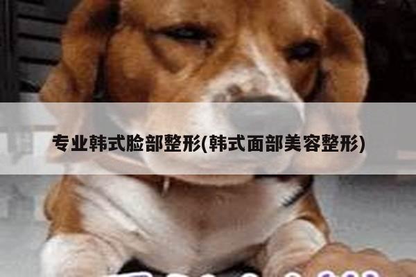 专业韩式脸部整形(韩式面部美容整形)