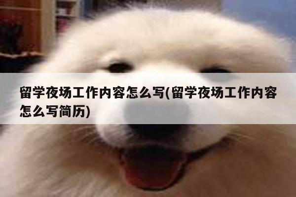 留学夜场工作内容怎么写(留学夜场工作内容怎么写简历)