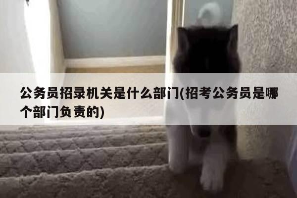 公务员招录机关是什么部门(招考公务员是哪个部门负责的)