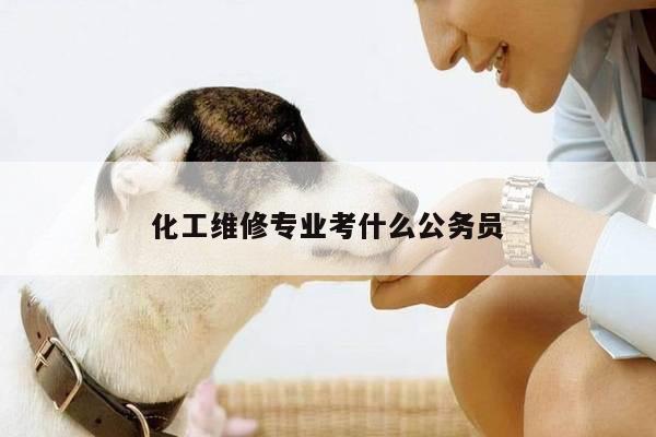 化工维修专业考什么公务员