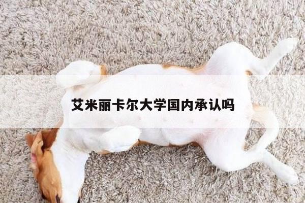 艾米丽卡尔大学国内承认吗