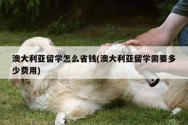 澳大利亚留学怎么省钱(澳大利亚留学需要多少费用)