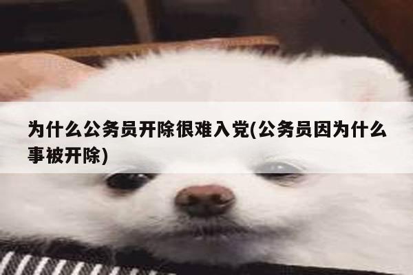 为什么公务员开除很难入党(公务员因为什么事被开除)