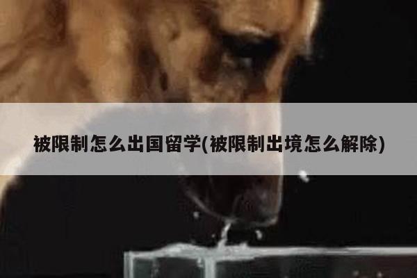 被限制怎么出国留学(被限制出境怎么解除)