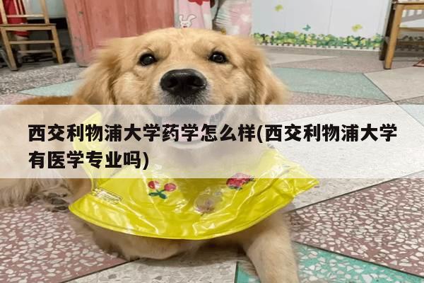 西交利物浦大学药学怎么样(西交利物浦大学有医学专业吗)