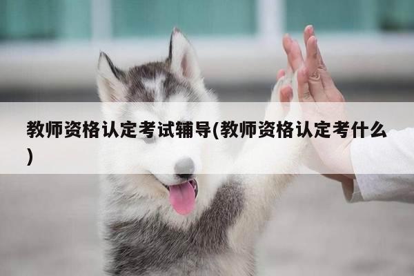 教师资格认定考试辅导(教师资格认定考什么)