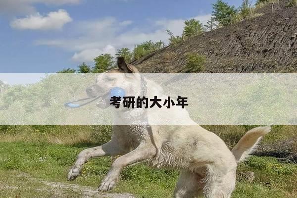 考研的大小年