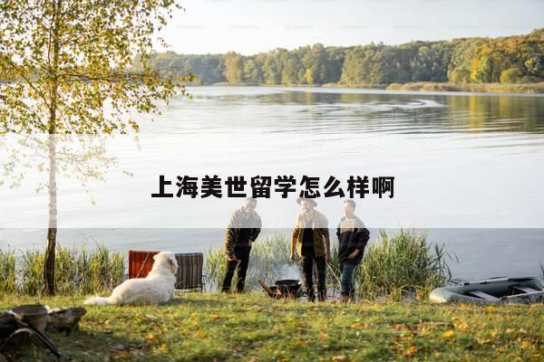 上海美世留学怎么样啊