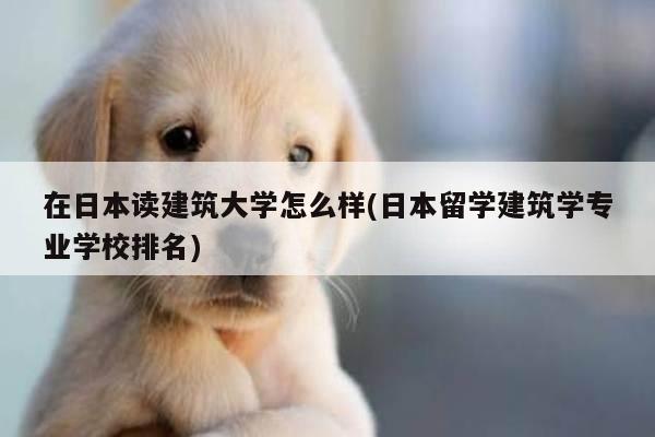 在日本读建筑大学怎么样(日本留学建筑学专业学校排名)