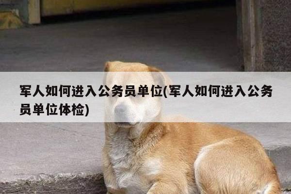 军人如何进入公务员单位(军人如何进入公务员单位体检)