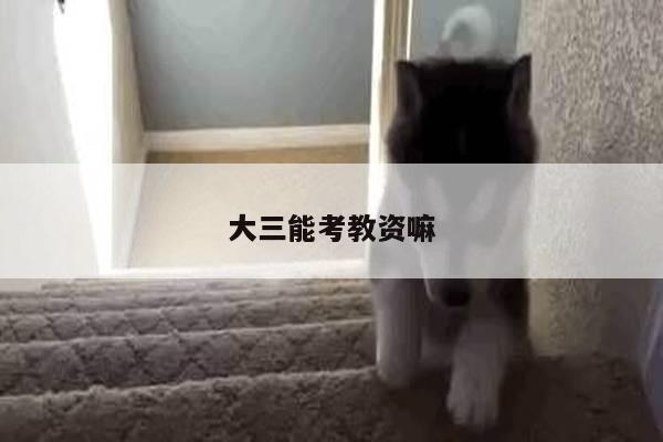 大三能考教资嘛