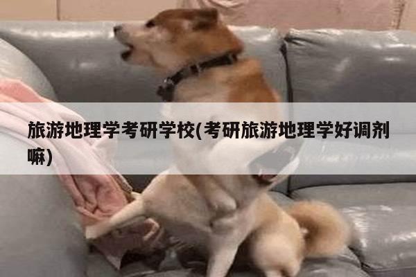 旅游地理学考研学校(考研旅游地理学好调剂嘛)