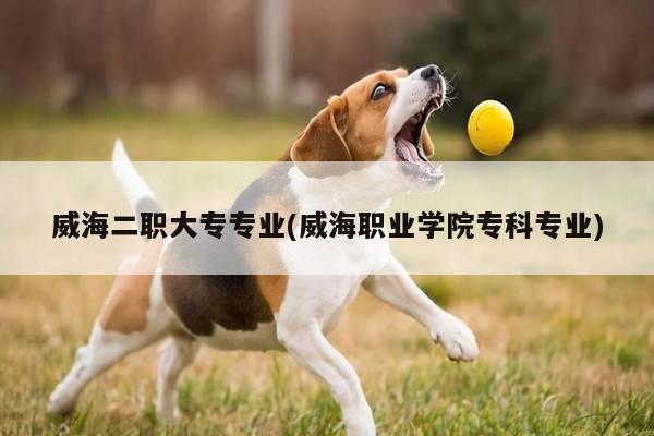 威海二职大专专业(威海职业学院专科专业)