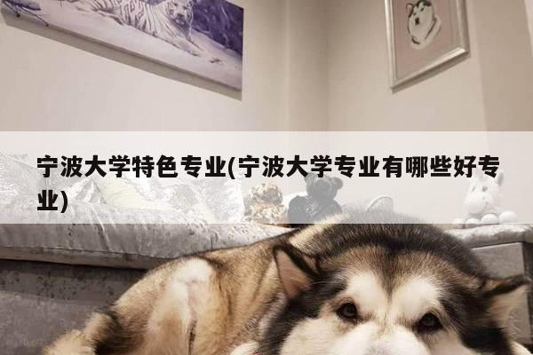 宁波大学特色专业(宁波大学专业有哪些好专业)