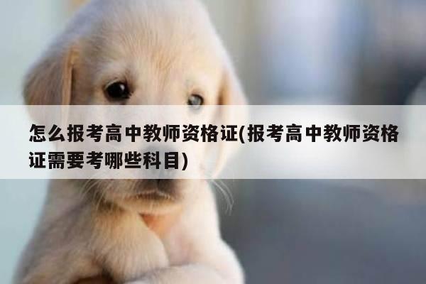 怎么报考高中教师资格证(报考高中教师资格证需要考哪些科目)