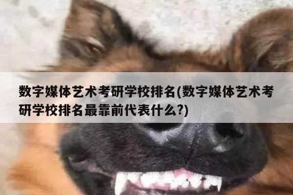 数字媒体艺术考研学校排名(数字媒体艺术考研学校排名最靠前代表什么?)