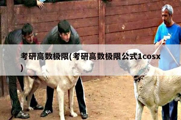 考研高数极限(考研高数极限公式1cosx)