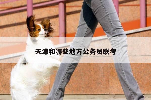 天津和哪些地方公务员联考