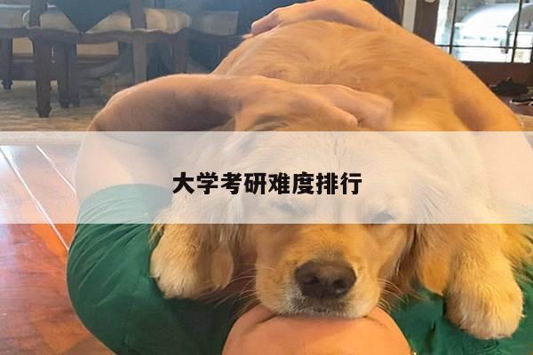 大学考研难度排行