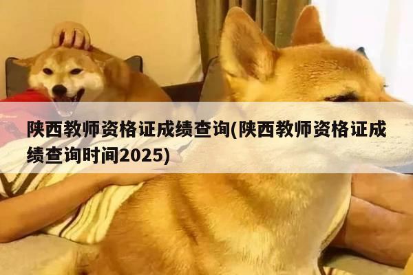 陕西教师资格证成绩查询(陕西教师资格证成绩查询时间2025)