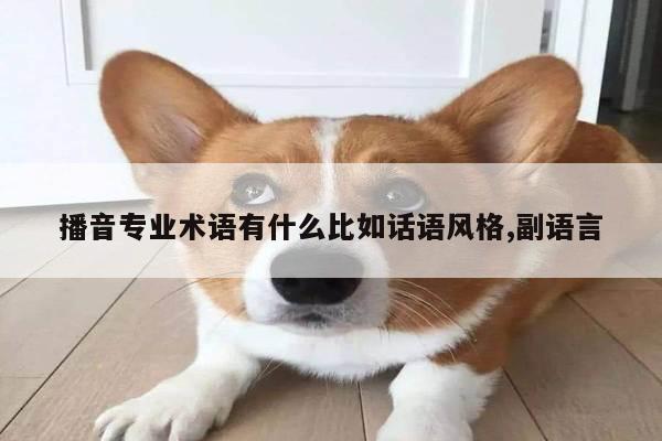 播音专业术语有什么比如话语风格,副语言