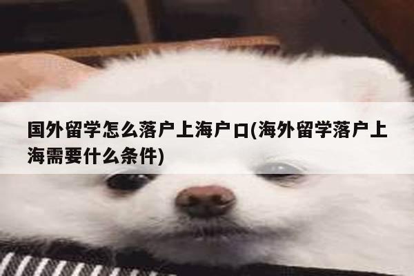 国外留学怎么落户上海户口(海外留学落户上海需要什么条件)