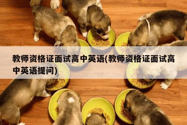 教师资格证面试高中英语(教师资格证面试高中英语提问)