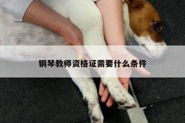 钢琴教师资格证需要什么条件