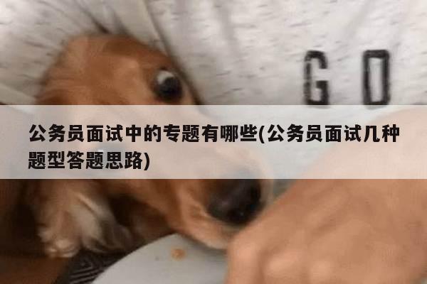 公务员面试中的专题有哪些(公务员面试几种题型答题思路)