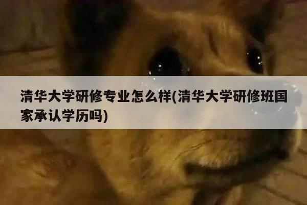 清华大学研修专业怎么样(清华大学研修班国家承认学历吗)