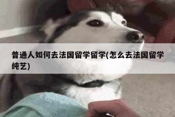 普通人如何去法国留学留学(怎么去法国留学纯艺)