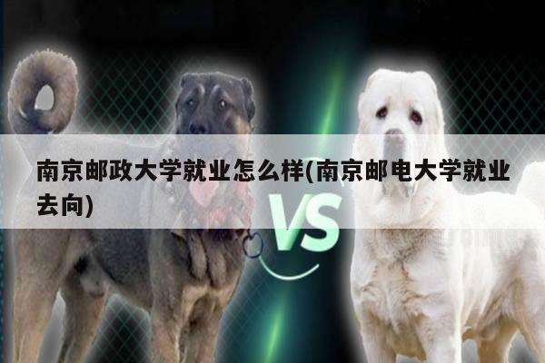 南京邮政大学就业怎么样(南京邮电大学就业去向)