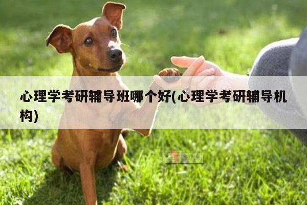 心理学考研辅导班哪个好(心理学考研辅导机构)