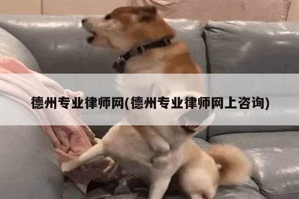 德州专业律师网(德州专业律师网上咨询)