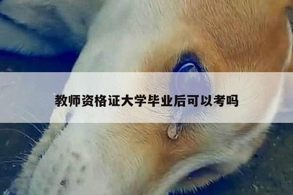 教师资格证大学毕业后可以考吗