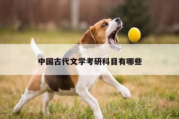 中国古代文学考研科目有哪些
