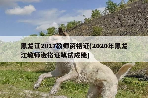 黑龙江2017教师资格证(2020年黑龙江教师资格证笔试成绩)