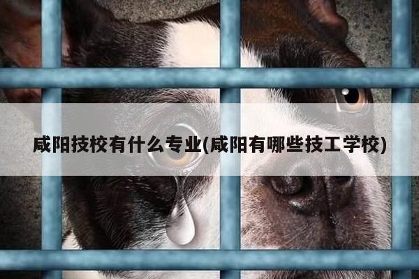 咸阳技校有什么专业(咸阳有哪些技工学校)