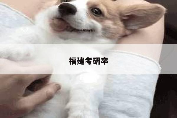 福建考研率