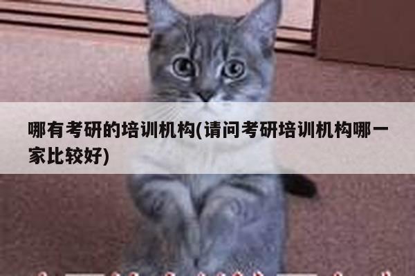 哪有考研的培训机构(请问考研培训机构哪一家比较好)