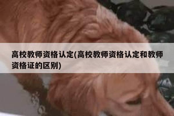 高校教师资格认定(高校教师资格认定和教师资格证的区别)