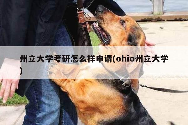 州立大学考研怎么样申请(ohio州立大学)