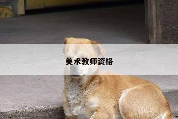 美术教师资格