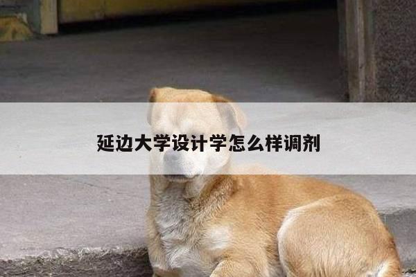 延边大学设计学怎么样调剂