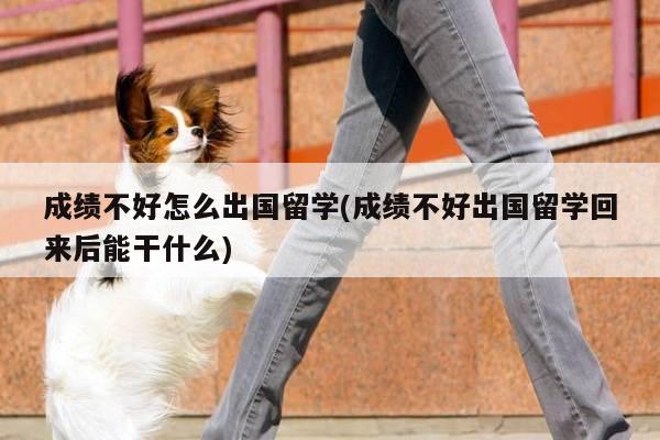 成绩不好怎么出国留学(成绩不好出国留学回来后能干什么)