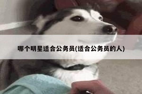 哪个明星适合公务员(适合公务员的人)