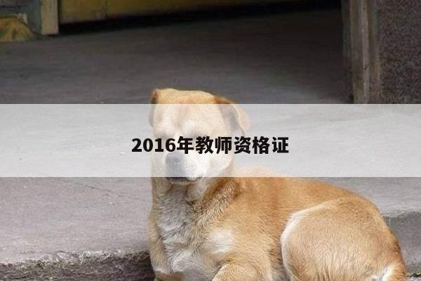 2016年教师资格证