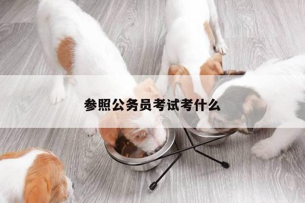 参照公务员考试考什么